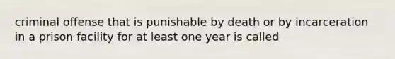 criminal offense that is punishable by death or by incarceration in a prison facility for at least one year is called