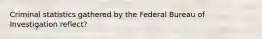 Criminal statistics gathered by the Federal Bureau of Investigation reflect?