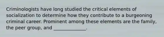 Criminologists have long studied the critical elements of socialization to determine how they contribute to a burgeoning criminal career. Prominent among these elements are the family, the peer group, and ______________.​