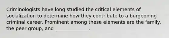 Criminologists have long studied the critical elements of socialization to determine how they contribute to a burgeoning criminal career. Prominent among these elements are the family, the peer group, and ______________.