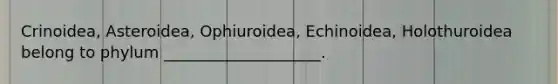 Crinoidea, Asteroidea, Ophiuroidea, Echinoidea, Holothuroidea belong to phylum ____________________.