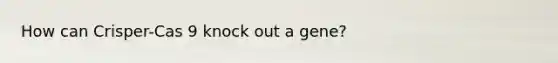 How can Crisper-Cas 9 knock out a gene?