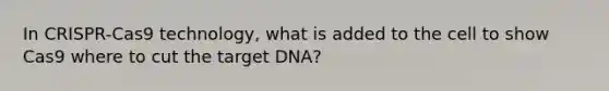 In CRISPR-Cas9 technology, what is added to the cell to show Cas9 where to cut the target DNA?