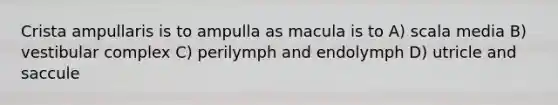 Crista ampullaris is to ampulla as macula is to A) scala media B) vestibular complex C) perilymph and endolymph D) utricle and saccule