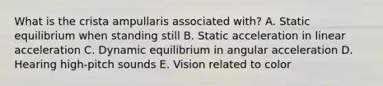 What is the crista ampullaris associated with? A. Static equilibrium when standing still B. Static acceleration in linear acceleration C. Dynamic equilibrium in angular acceleration D. Hearing high-pitch sounds E. Vision related to color