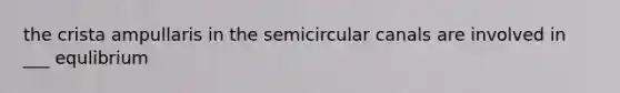 the crista ampullaris in the semicircular canals are involved in ___ equlibrium