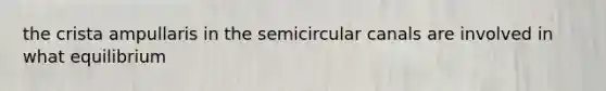 the crista ampullaris in the semicircular canals are involved in what equilibrium