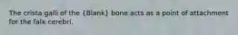 The crista galli of the (Blank) bone acts as a point of attachment for the falx cerebri.