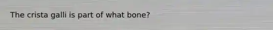 The crista galli is part of what bone?