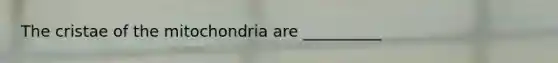 The cristae of the mitochondria are __________