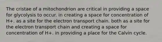 The cristae of a mitochondrion are critical in providing a space for glycolysis to occur. in creating a space for concentration of H+. as a site for the electron transport chain. both as a site for the electron transport chain and creating a space for concentration of H+. in providing a place for the Calvin cycle.