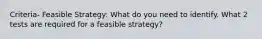 Criteria- Feasible Strategy: What do you need to identify. What 2 tests are required for a feasible strategy?