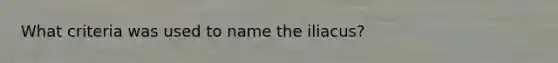 What criteria was used to name the iliacus?