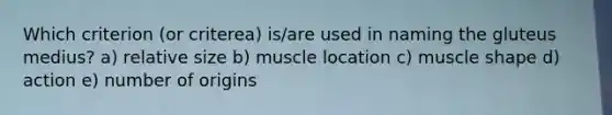 Which criterion (or criterea) is/are used in naming the gluteus medius? a) relative size b) muscle location c) muscle shape d) action e) number of origins