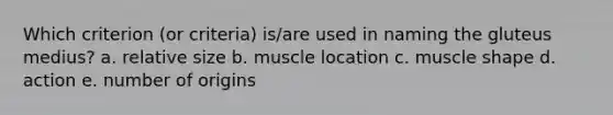 Which criterion (or criteria) is/are used in naming the gluteus medius? a. relative size b. muscle location c. muscle shape d. action e. number of origins