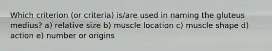 Which criterion (or criteria) is/are used in naming the gluteus medius? a) relative size b) muscle location c) muscle shape d) action e) number or origins