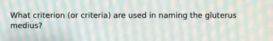 What criterion (or criteria) are used in naming the gluterus medius?