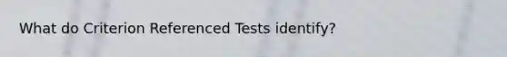 What do Criterion Referenced Tests identify?