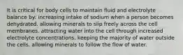 It is critical for body cells to maintain fluid and electrolyte balance by:​ ​increasing intake of sodium when a person becomes dehydrated. ​allowing minerals to slip freely across the cell membranes. ​attracting water into the cell through increased electrolyte concentrations. ​keeping the majority of water outside the cells. ​allowing minerals to follow the flow of water.