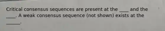 Critical consensus sequences are present at the ____ and the ____. A weak consensus sequence (not shown) exists at the ______.