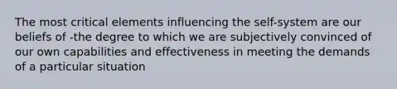 The most critical elements influencing the self-system are our beliefs of -the degree to which we are subjectively convinced of our own capabilities and effectiveness in meeting the demands of a particular situation