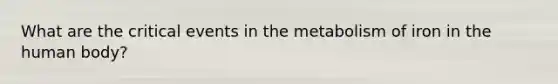 What are the critical events in the metabolism of iron in the human body?