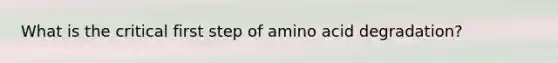 What is the critical first step of amino acid degradation?