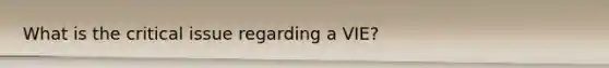 What is the critical issue regarding a VIE?