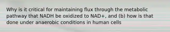 Why is it critical for maintaining flux through the metabolic pathway that NADH be oxidized to NAD+, and (b) how is that done under anaerobic conditions in human cells