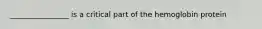 ________________ is a critical part of the hemoglobin protein