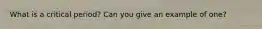 What is a critical period? Can you give an example of one?