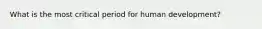 What is the most critical period for human development?