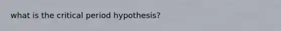 what is the critical period hypothesis?