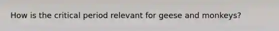 How is the critical period relevant for geese and monkeys?