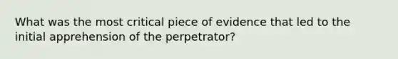 What was the most critical piece of evidence that led to the initial apprehension of the perpetrator?