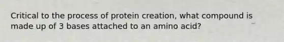 Critical to the process of protein creation, what compound is made up of 3 bases attached to an amino acid?