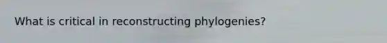 What is critical in reconstructing phylogenies?