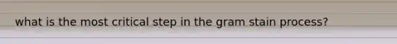 what is the most critical step in the gram stain process?