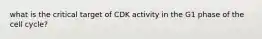 what is the critical target of CDK activity in the G1 phase of the cell cycle?