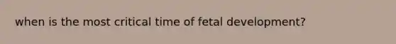 when is the most critical time of fetal development?