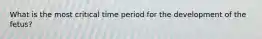 What is the most critical time period for the development of the fetus?