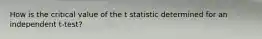 How is the critical value of the t statistic determined for an independent t-test?