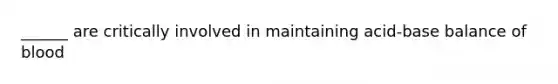 ______ are critically involved in maintaining acid-base balance of blood