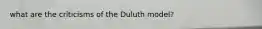 what are the criticisms of the Duluth model?