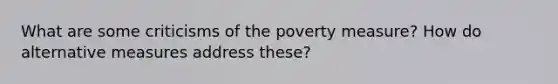 What are some criticisms of the poverty measure? How do alternative measures address these?