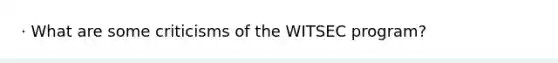 · What are some criticisms of the WITSEC program?