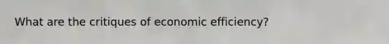 What are the critiques of economic efficiency?