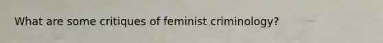 What are some critiques of feminist criminology?