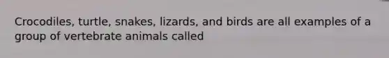 Crocodiles, turtle, snakes, lizards, and birds are all examples of a group of vertebrate animals called