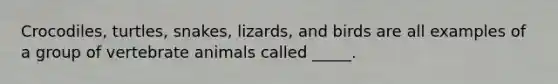 Crocodiles, turtles, snakes, lizards, and birds are all examples of a group of vertebrate animals called _____.